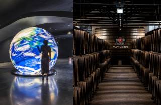 Porto: Taylor's Cellar Tour + The Wine Experience Pack