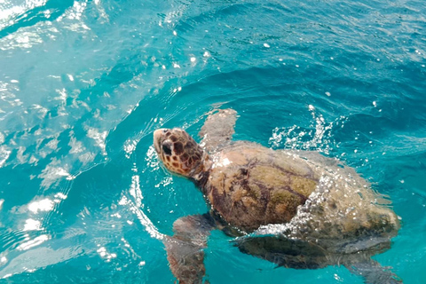 Zakynthos: Complete Clear boat Unique Experience and Swim