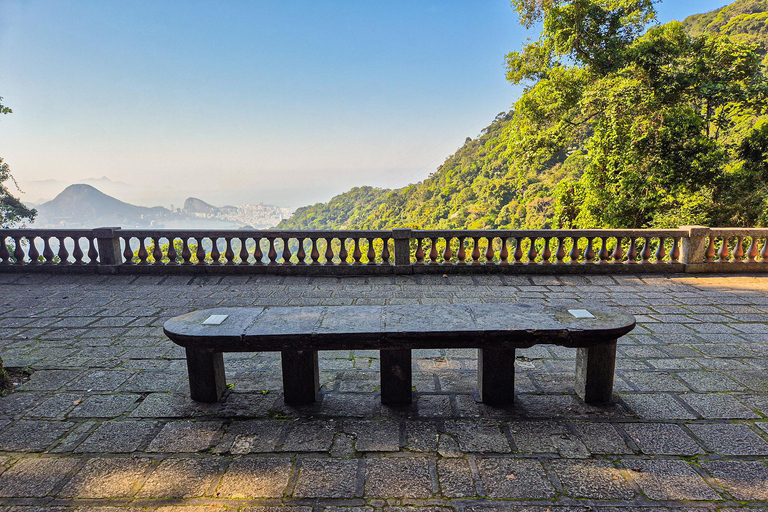 Rio de Janeiro: Botaniska trädgården och Tijuca Forest Jeep TourFrån Barra da Tijuca Hotels: Fransktalande