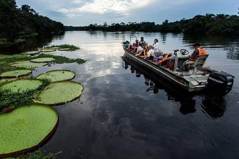 1 Day Excursion to Pacaya Samiria Reserve