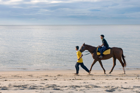 Negril: Beach HorseRide Experience with Free Photos & Videos