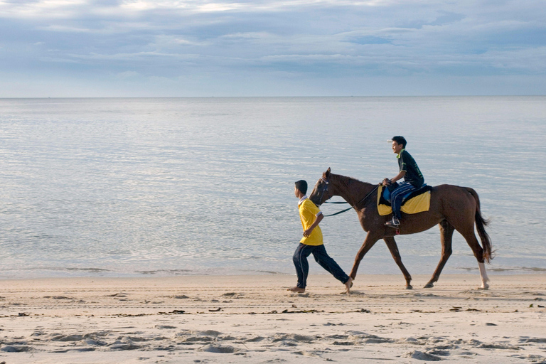 Negril: Beach HorseRide Experience with Free Photos & Videos