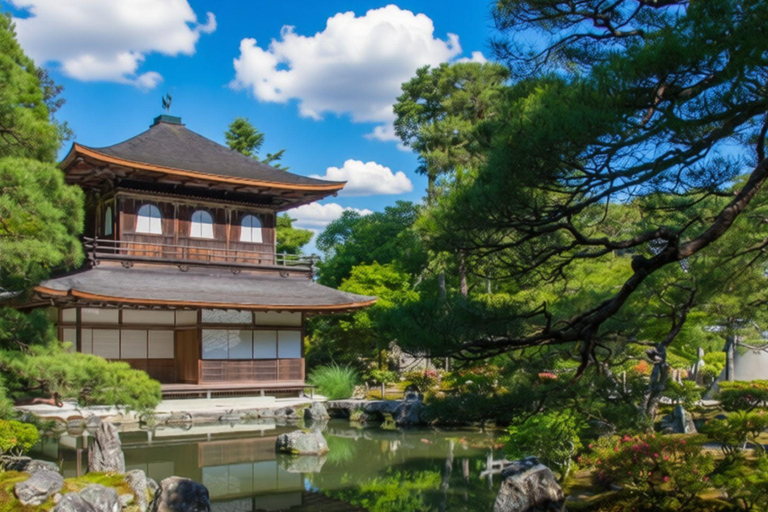 Kyoto: Kamigamo Shrine, Silver Pavilion & Nishiki Mkt Tour