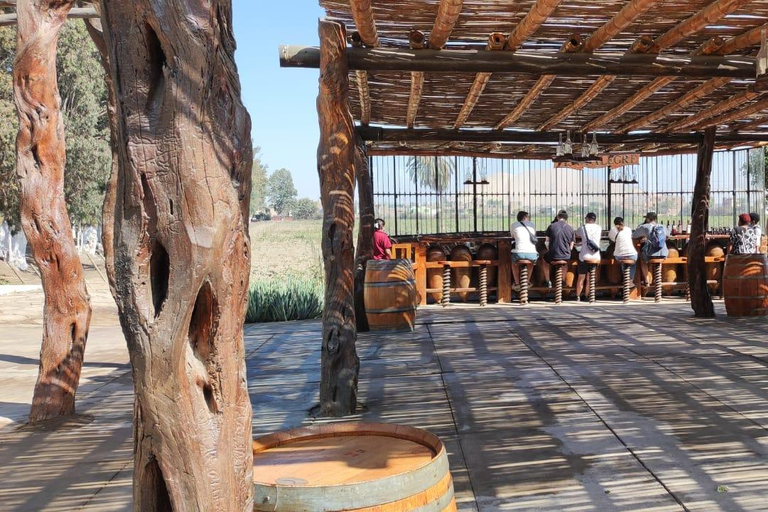 Da Ica o Huacachina: Tour al vigneto Tacama e alla cantina artigianale.