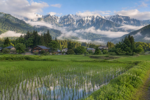 From Tokyo: Hakuba Happo Pond Summer Trek & Onsen