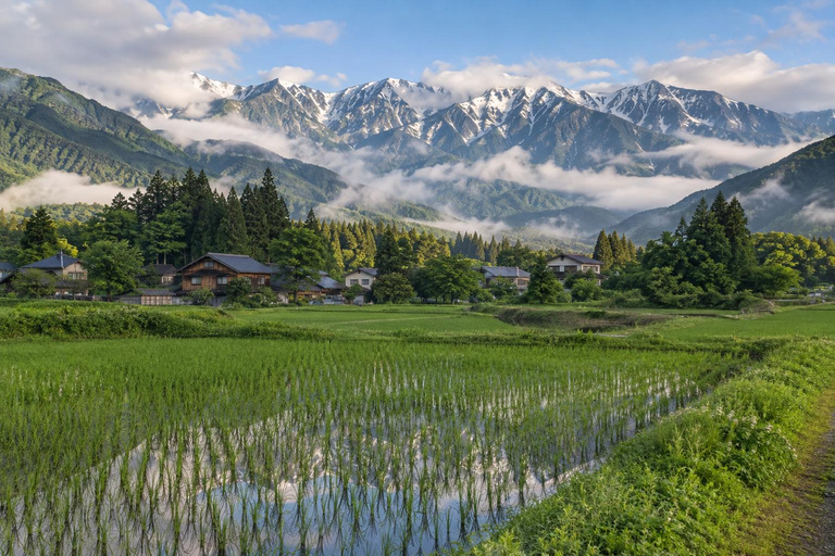 From Tokyo: Hakuba Happo Pond Summer Trek & Onsen