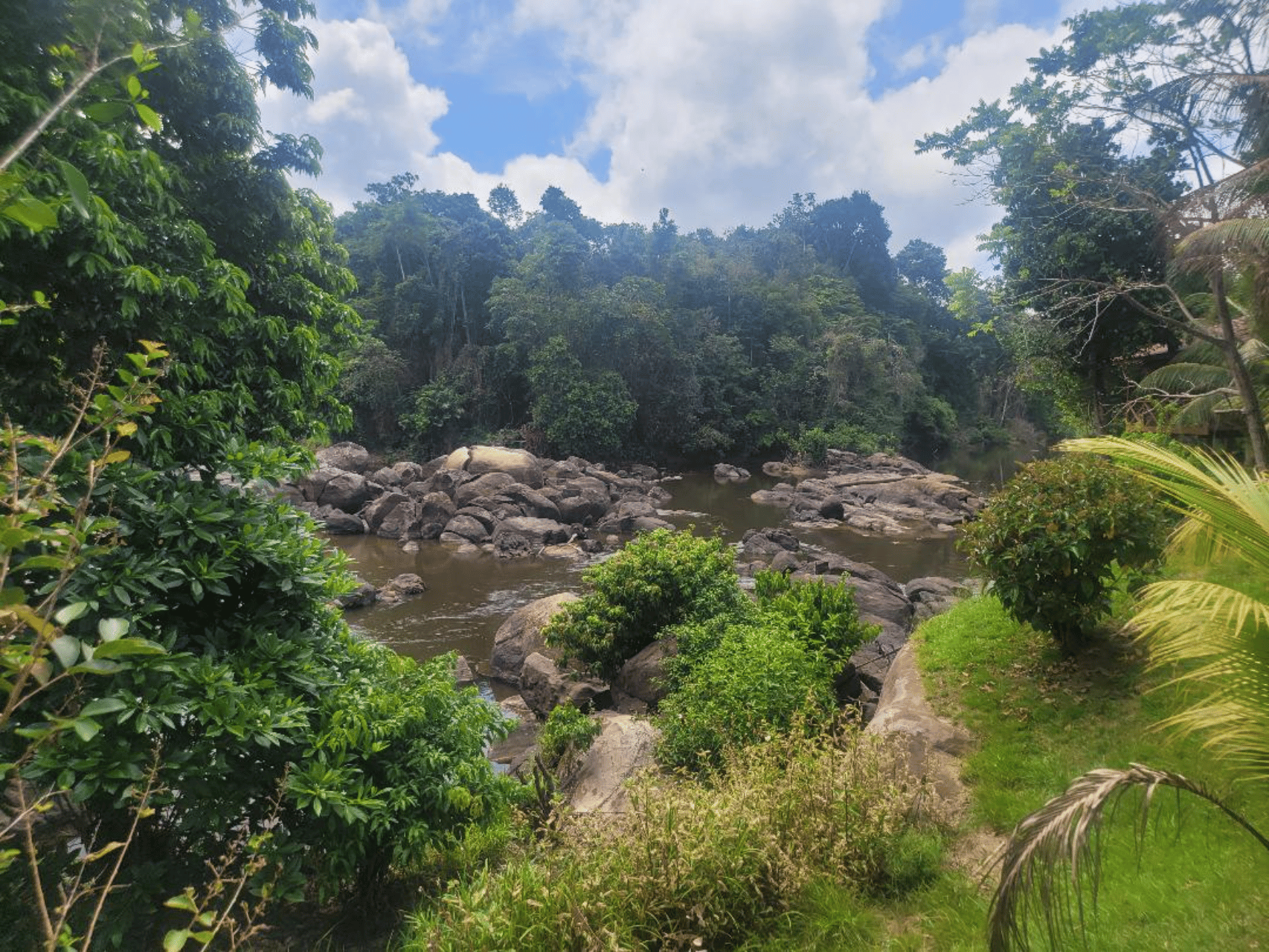 3 Tage Tour Amazonas Suriname Inland All inclusive Dorf