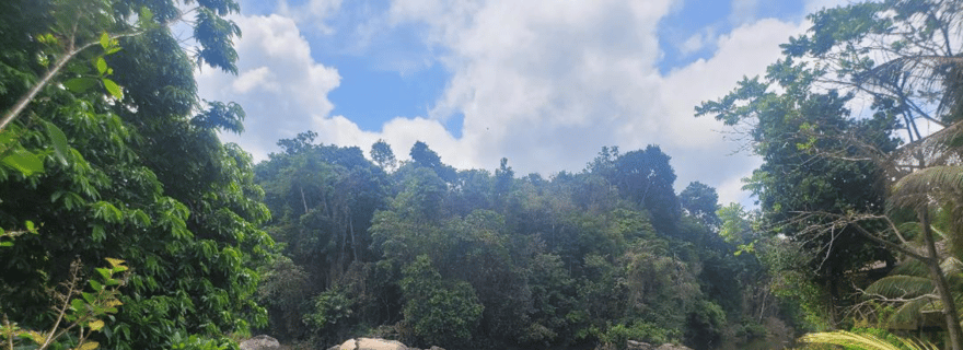 3 jours de visite de l'Amazonie et du Suriname à l'intérieur des terres Village tout compris