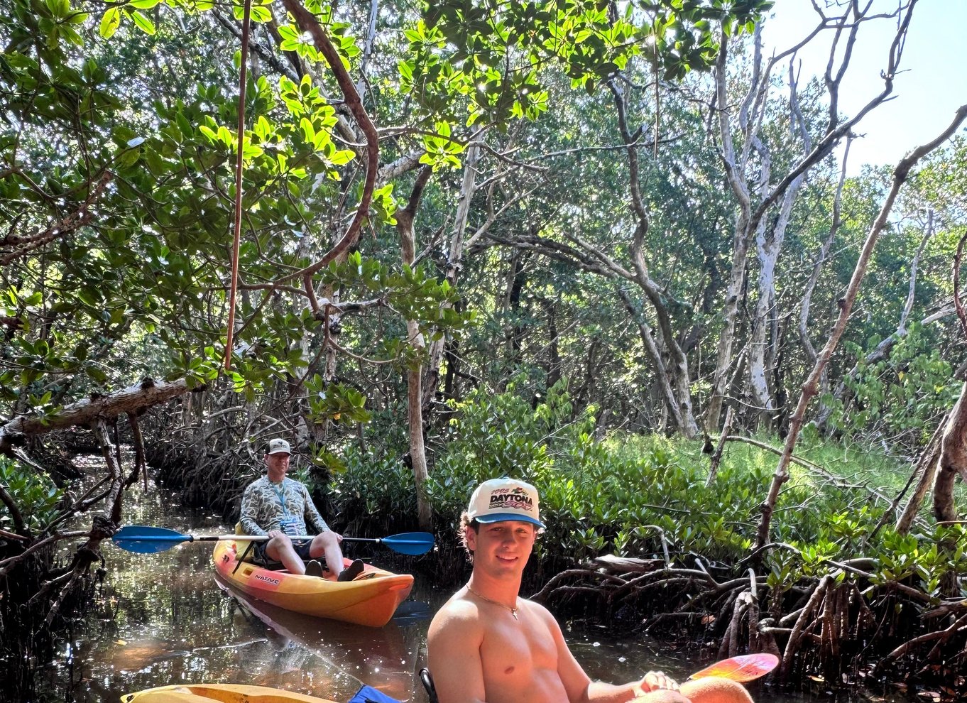 Tierra Verde: Shell Key Mangrove Privat guidet tur på 1,5 time