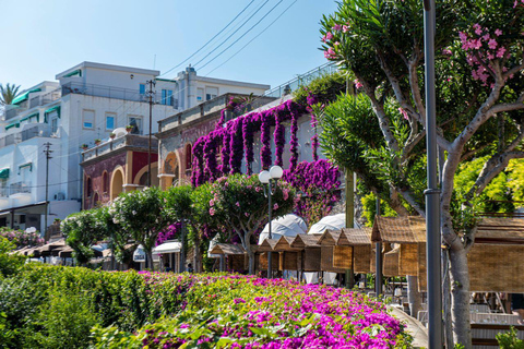 Desde Sorrento: Capri, Anacapri y Gruta Azul - Día Completo