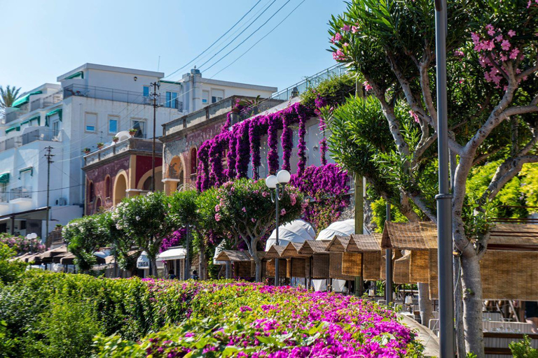 Z Sorrento: Capri, Anacapri i Blue Grotto przez cały dzień