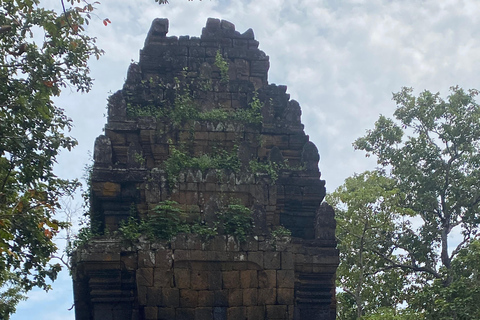 Siem Reap: Tuk Tuk day tours of temples