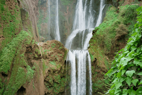 Ouzoud Waterfalls from Marrakech with Boat Ride Private Tour to Ouzoud