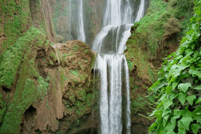 Cascadas de Ouzoud desde Marrakech con paseo en barcoGrupo - Visita compartida a Ouzoud