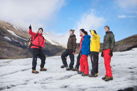 Vanuit Reykjavik: Zuidkust en gletsjerwandeling privétour