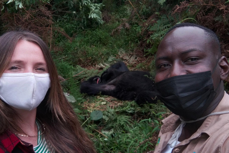 Rwanda: 1 Day Gorilla Tracking Safari