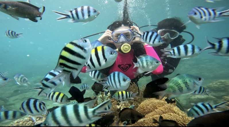 Nha Trang: Coral Reef Scuba Diving and Floating Bar Party