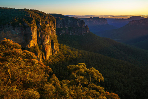 Intimate Blue Mountains Wild Kangaroos, Wilderness & Sunset