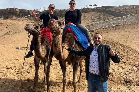 Explore Tangier: Guided City Tour and Seaside Camel Ride Pick up from the cruise terminal