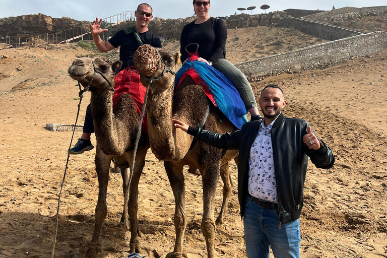 Explore Tangier: Guided City Tour and Seaside Camel Ride Pick up from the cruise terminal