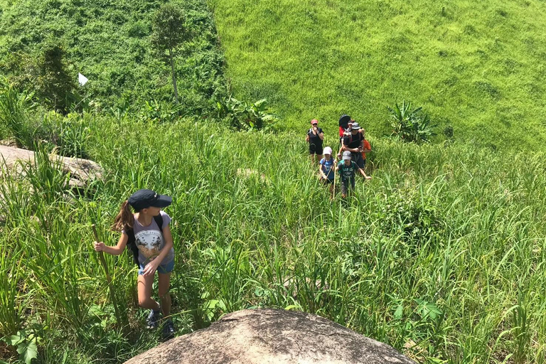 Chiang Rai Trek: 4 Hilltribes Villages & Waterfall Only Walk