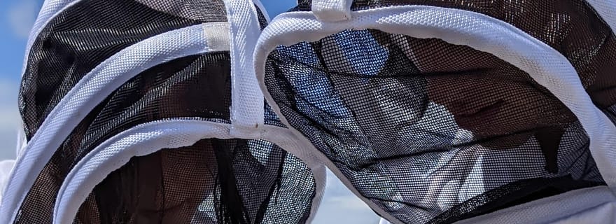 Mornant: Découvrez l’apiculture