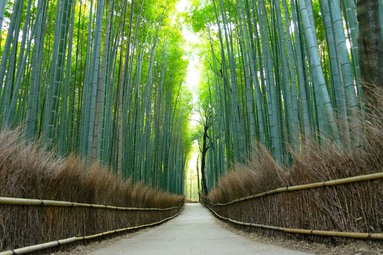 [From Osaka] Kyoto 1-Day Tour Miyama, Katsuo-ji & Arashiyama Osaka Round-trip
