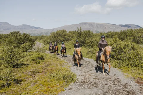 Borgarnes: Horseback Riding Tour with Prep Lesson