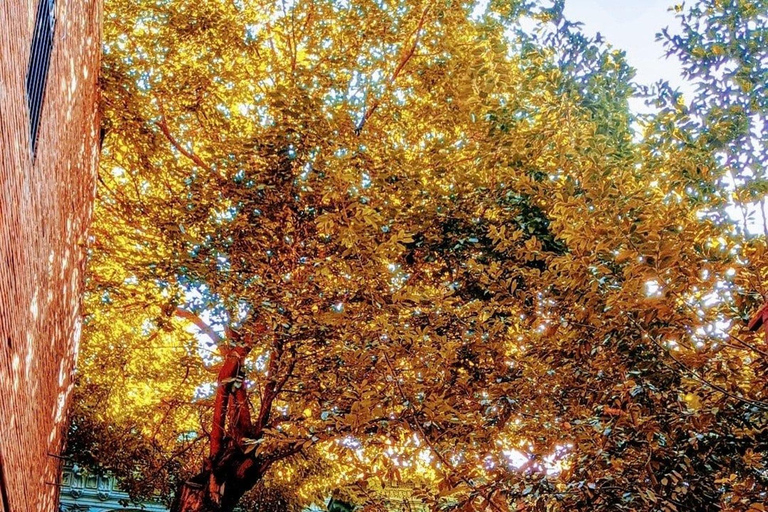 Tbilisi: Old Town Walking Tour with Local Historian