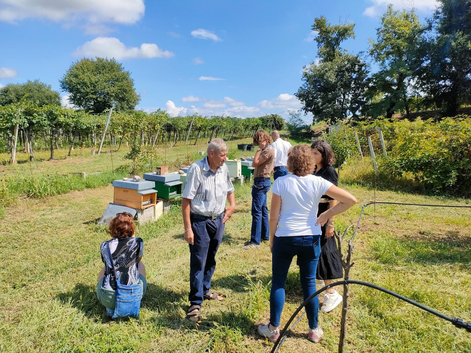 Lazise: Imkerei-Farm-Tour und Verkostungserlebnis
