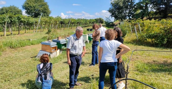 Lazise: Beekeeping Farm Tour and Tasting Experience