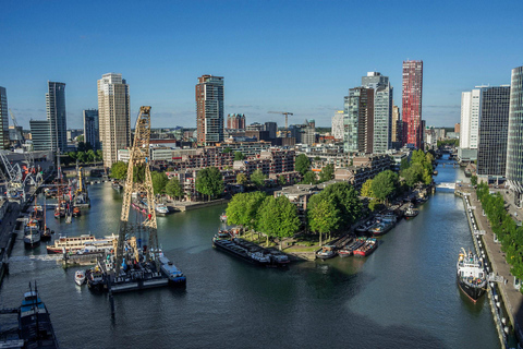 Location de vélos aquatiques Schiller dans le quartier maritime de Rotterdam