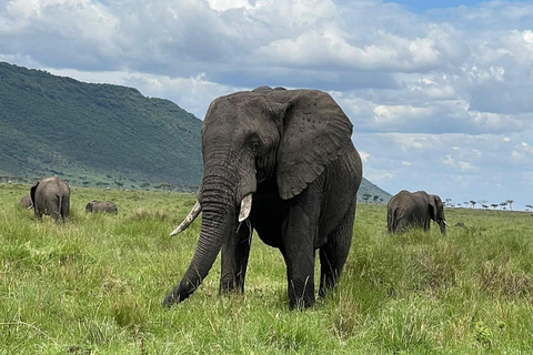 3 jours d'expérience de la vie sauvage