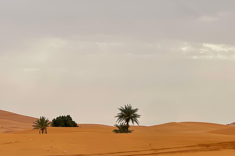 From Marrakech: 3-Day Desert Tour to Merzouga & Luxury Camp. From Marrakech: Premium 3-Day Tour & Luxury Camp.