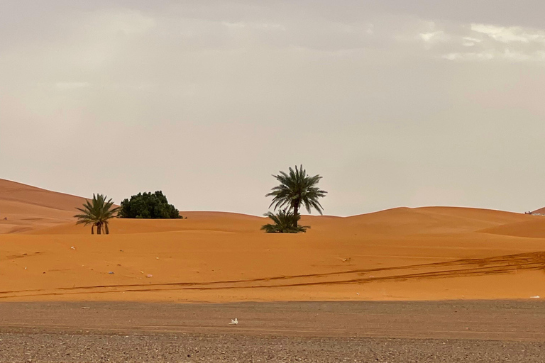 From Marrakech: 3-Day Desert Tour to Merzouga & Luxury Camp. From Marrakech: Premium 3-Day Tour & Luxury Camp.
