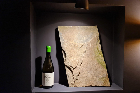 Sofia: Bulgarian Wine Tasting with Local Grape Varieties