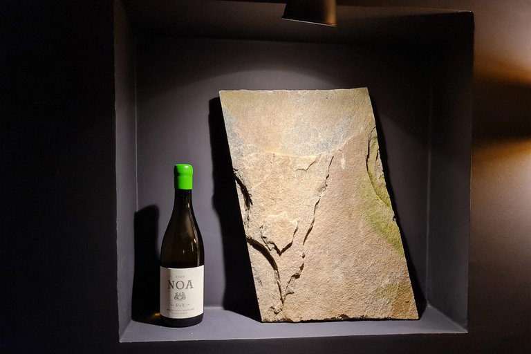 Sofia: Bulgarian Wine Tasting with Local Grape Varieties