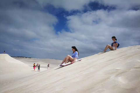 Koala, Lancelin, Wedge Island & Pinnacles Tour from Perth Pinnacles Desert, Sand Dunes, and Wedge Island Day Tour