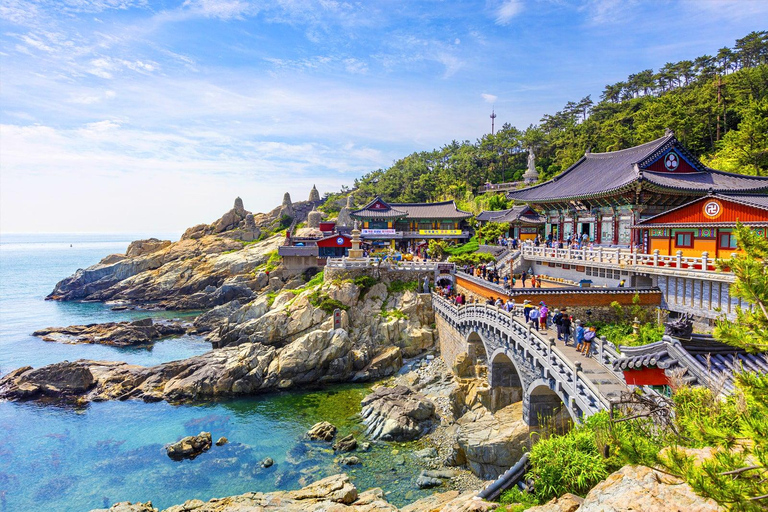 Tour della città di Busan in auto privataServizi di auto private a noleggio a Busan