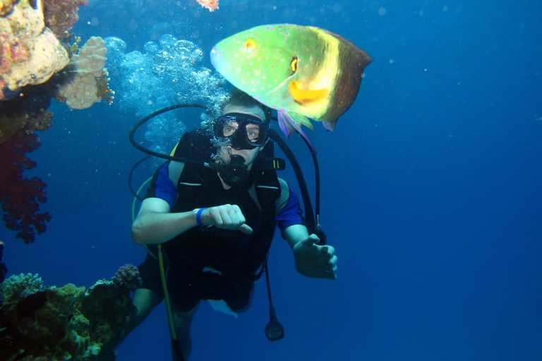 Hurghada: Scuba Diving cruise with lunch & pickup Single Beginner introduction dive with pickup and lunch