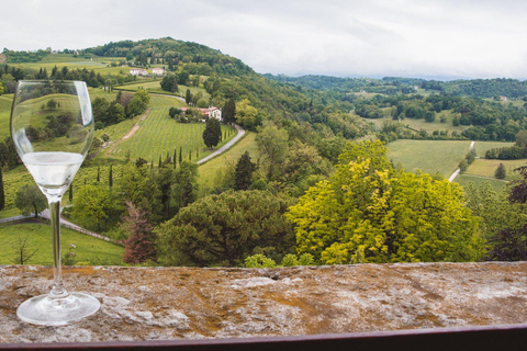 From Venice: Wine and Food tour in the Prosecco Hills