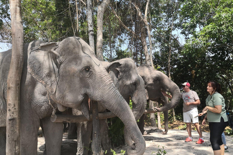 Excursão de um dia aos templos de Angkor Wat e à floresta de elefantes de Kulen