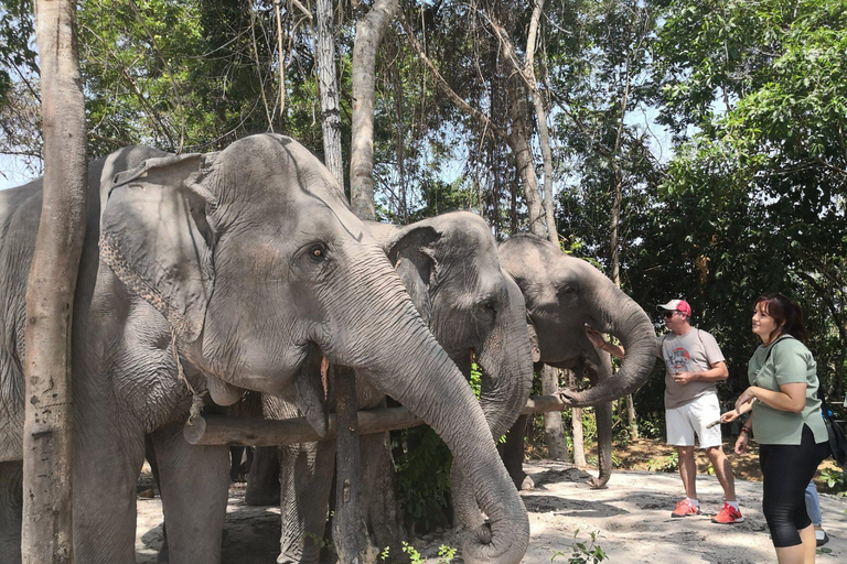 Excursão de um dia aos templos de Angkor Wat e à floresta de elefantes de Kulen