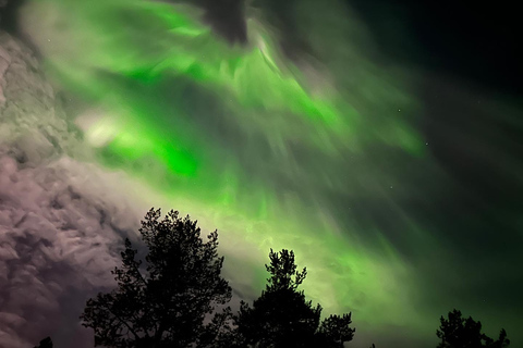 De Kiruna: excursão pela aurora boreal no Parque Nacional Abisko