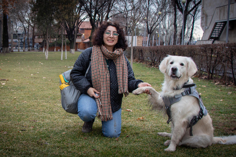 Morning walk in Yerevan: Guided Tour with my dog Charlie