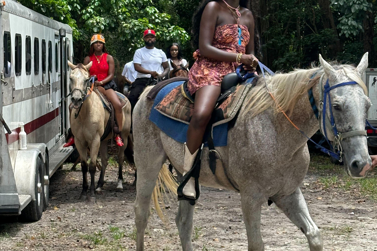 Miami: Paseos a caballo en South Beach