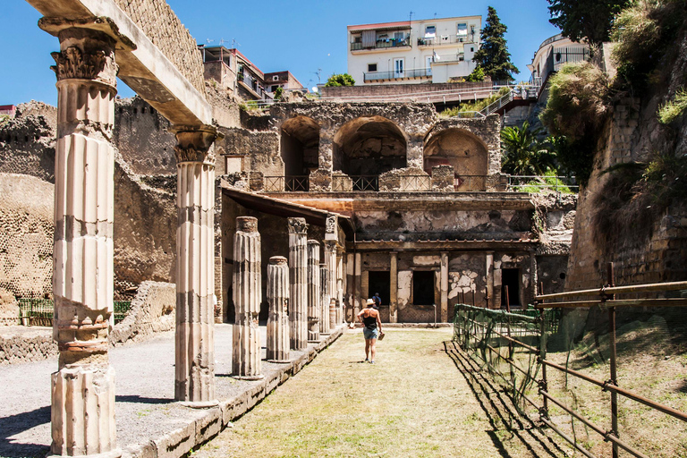 Herculanum : Visite privée avec chauffeur depuis NaplesOption avec chauffeur et billets - pas de visite guidée incluse