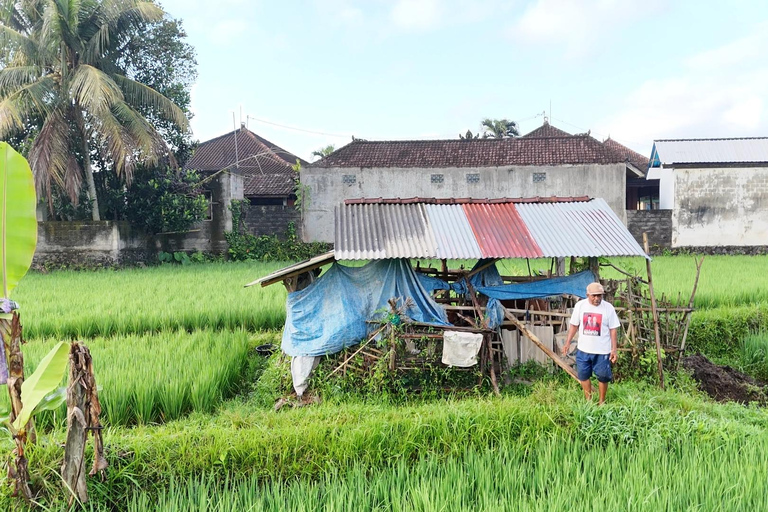 Sidemen rice terraces trek and local village walk sidemen rice terrace, village walk and local market