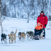 From Tromsø: Advanced Dog Sledding Tour at Camp Tamok