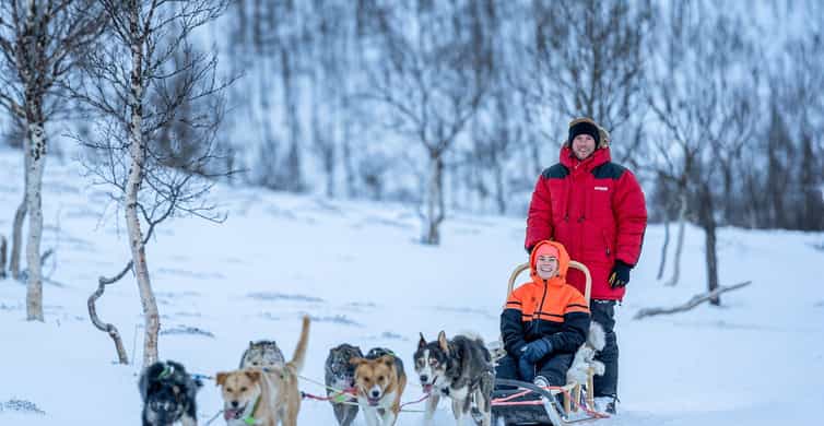 Traîneau à chiens niveau avancé au camp de Tamok